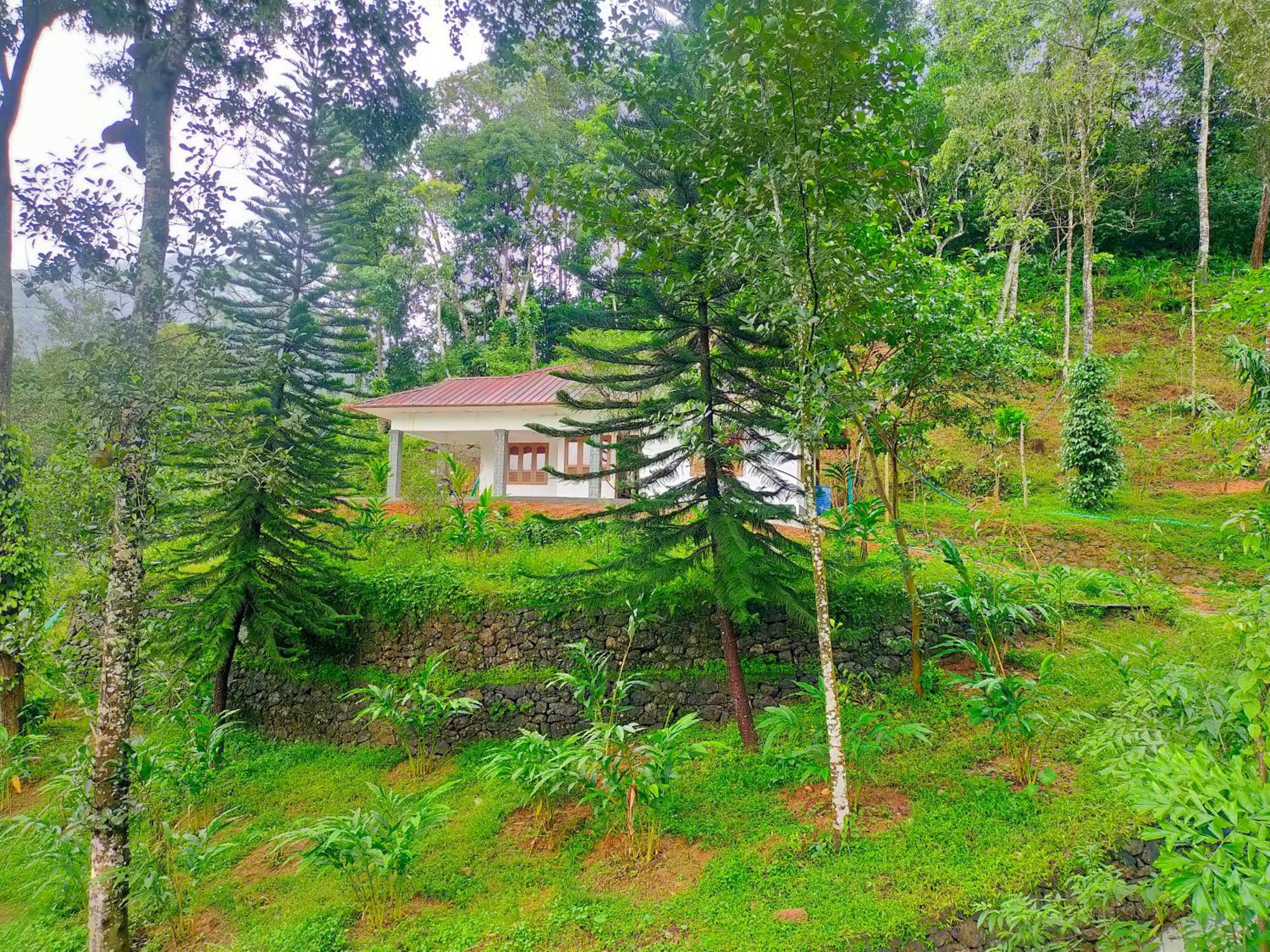 Anivilla Holiday Home Kunjithanny Anachal Exterior photo